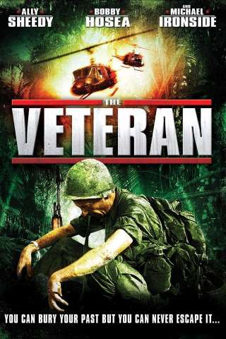 The Veteran streaming