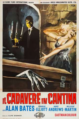 Il cadavere in cantina streaming