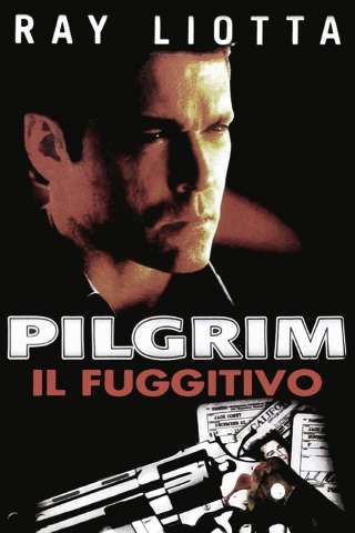 Pilgrim - Il fuggitivo streaming