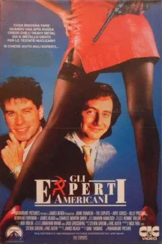 Gli esperti americani streaming