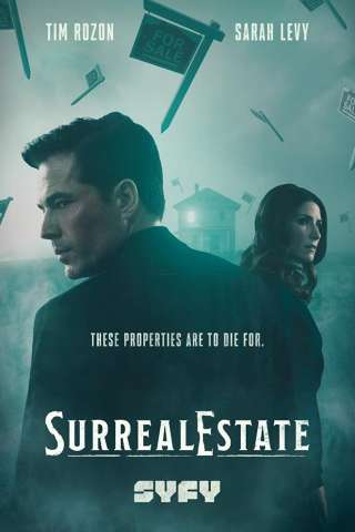 Agenzia Roman - Case infestate vendesi streaming