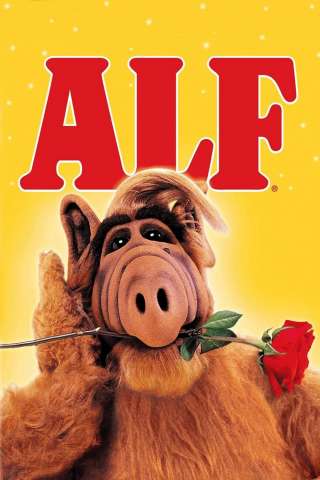 ALF streaming