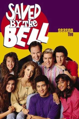 Bayside School streaming