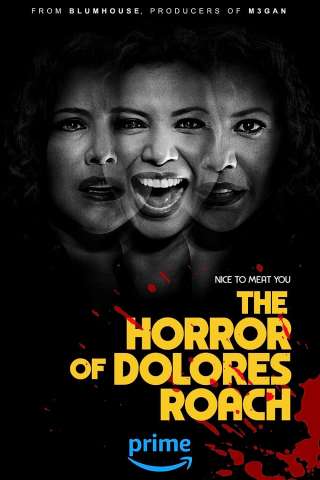 Gli orrori di Dolores Roach streaming