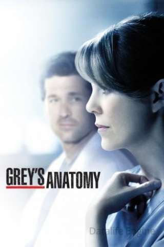 Grey's Anatomy streaming