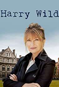 Harry Wild (2022) streaming