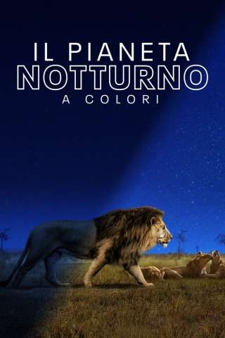 Il pianeta notturno a colori streaming