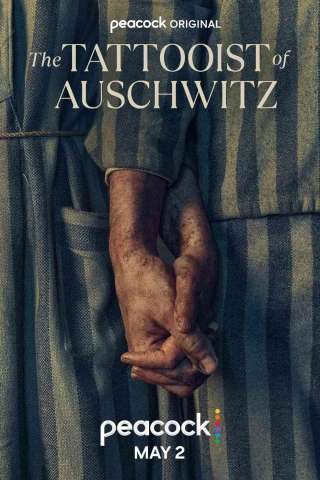 Il tatuatore di Auschwitz streaming
