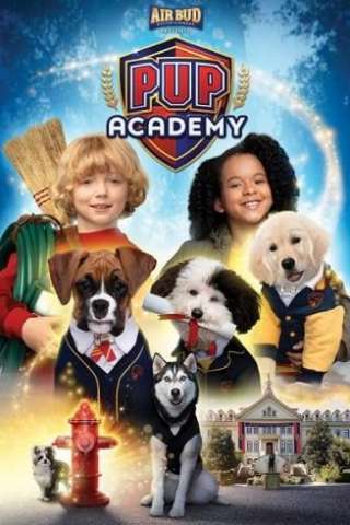 L'accademia dei cuccioli - Pup Academy streaming