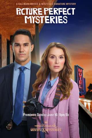 Le indagini di Allie Adams streaming
