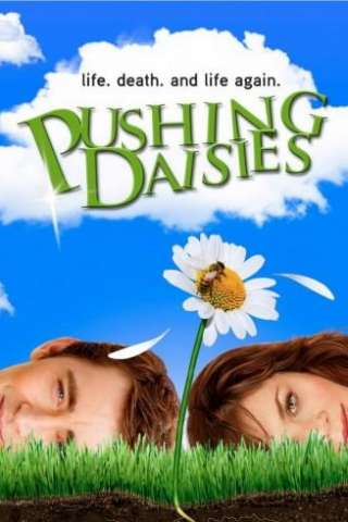 Pushing Daisies streaming