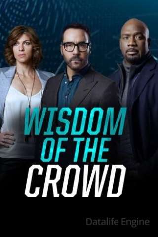 Wisdom of the Crowd - Nella rete del crimine streaming