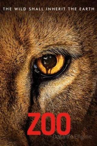 Zoo streaming