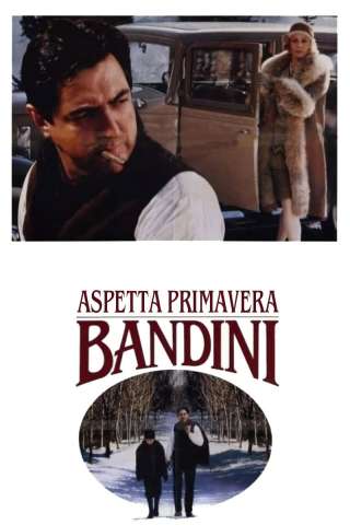 Aspetta primavera, Bandini streaming