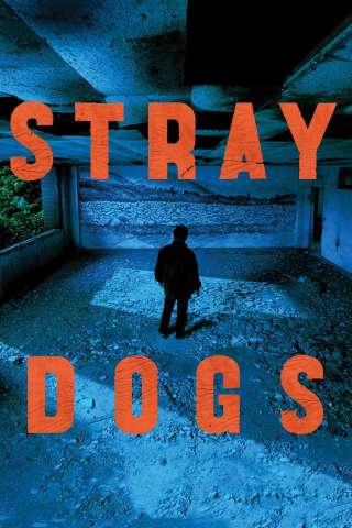 Stray Dogs streaming