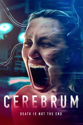 Cerebrum streaming