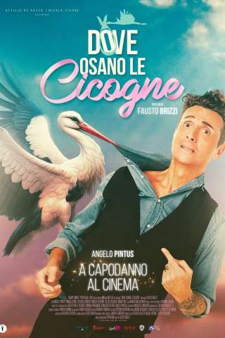 Dove osano le cicogne streaming