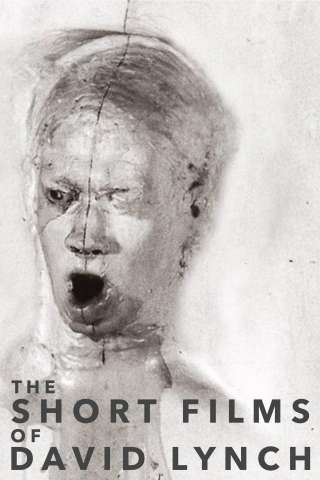 The Short Films of David Lynch streaming