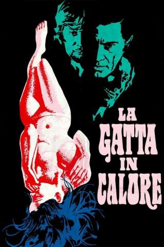 La gatta in calore streaming
