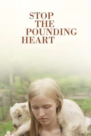 Ferma il tuo cuore in affanno streaming