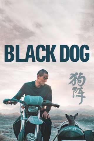 Black Dog streaming