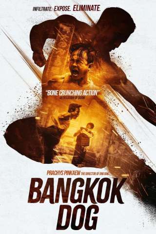 Bangkok Dog streaming