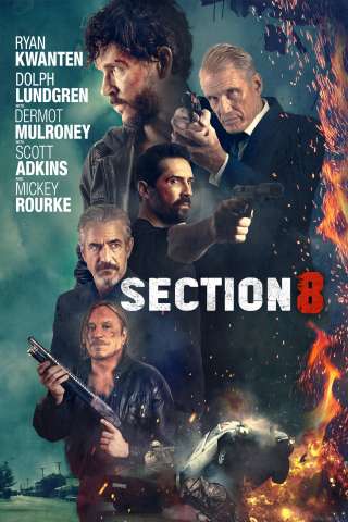 Sezione 8 streaming