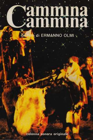 Camminacammina streaming