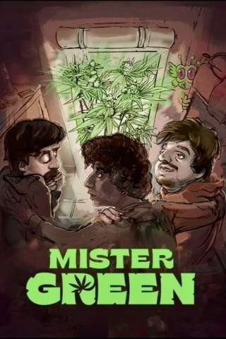 Mister green streaming